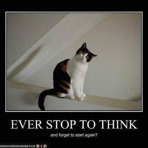 Meet your Posher, Katherine